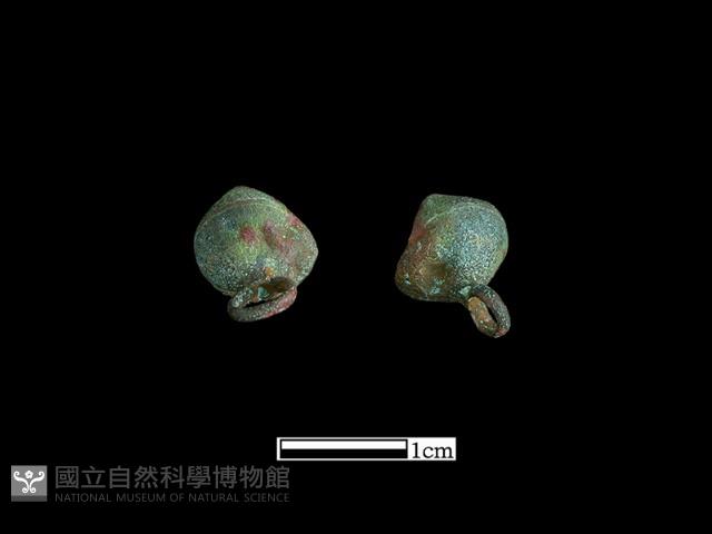 鈕子藏品圖，第2張