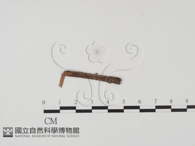 登錄號:F0009320藏品圖，第1張