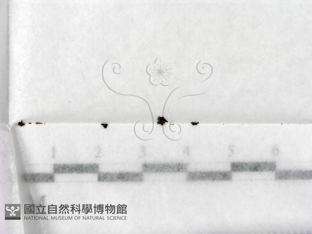 登錄號:F0000200藏品圖，第1張