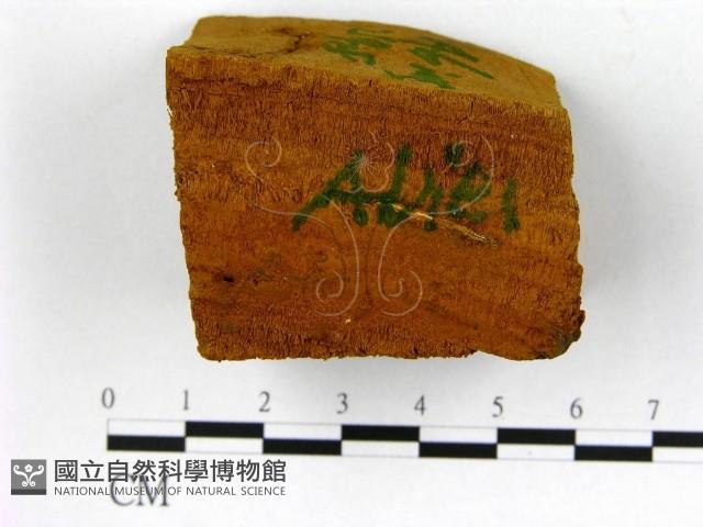 登錄號:F0006200藏品圖，第1張
