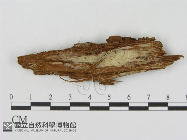 登錄號:F0003200藏品圖，第1張