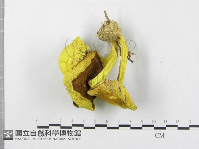 登錄號:F0004400藏品圖，第1張