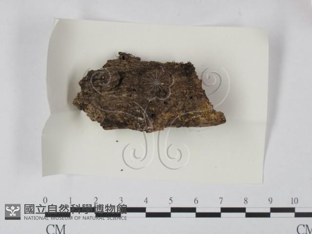 登錄號:F0005400藏品圖，第1張