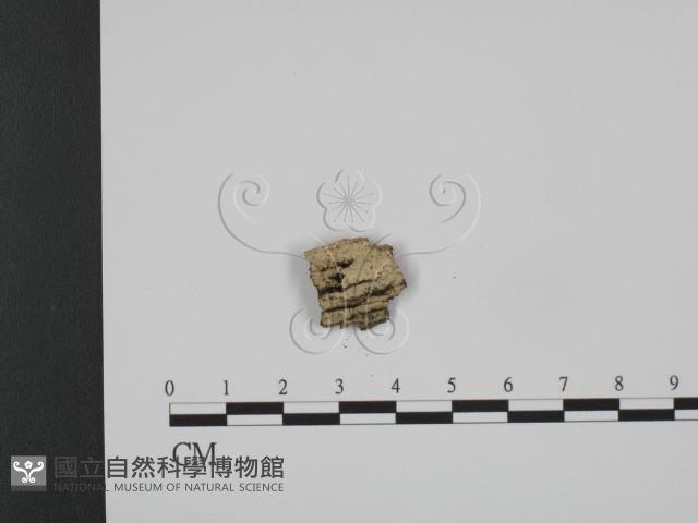 登錄號:F0015400藏品圖，第1張