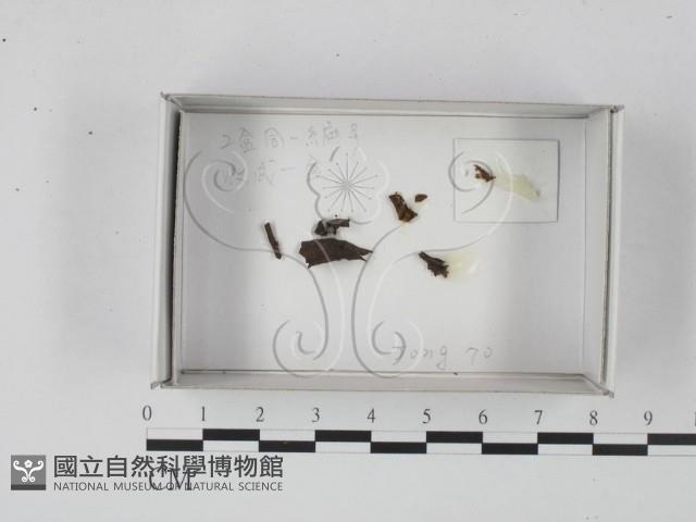 館號:F0019100藏品圖，第1張