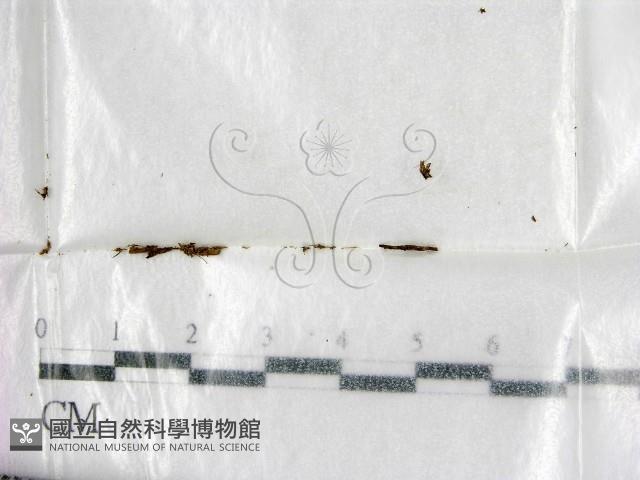 登錄號:F0001000藏品圖，第1張