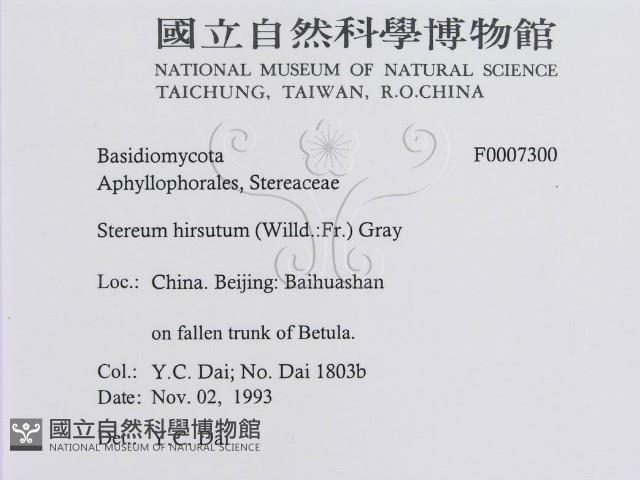 登錄號:F0007300藏品圖，第3張