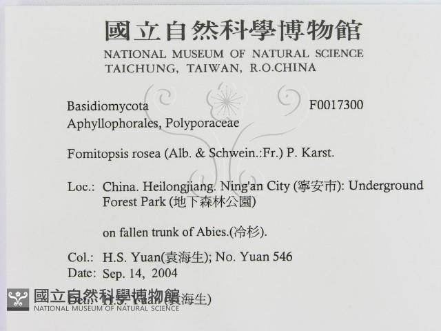 登錄號:F0017300藏品圖，第3張