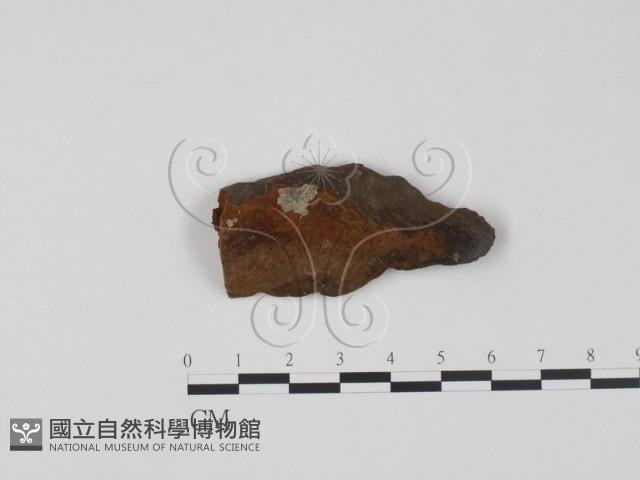 登錄號:F0007210藏品圖，第1張