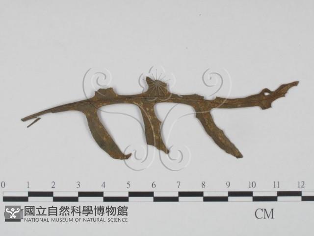 登錄號:F0019210藏品圖，第1張