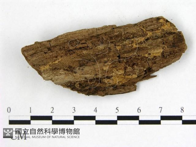 登錄號:F0008110藏品圖，第1張