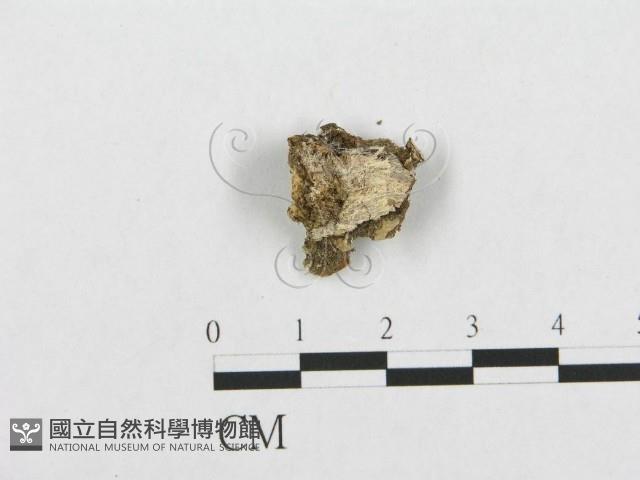 登錄號:F0007110藏品圖，第1張