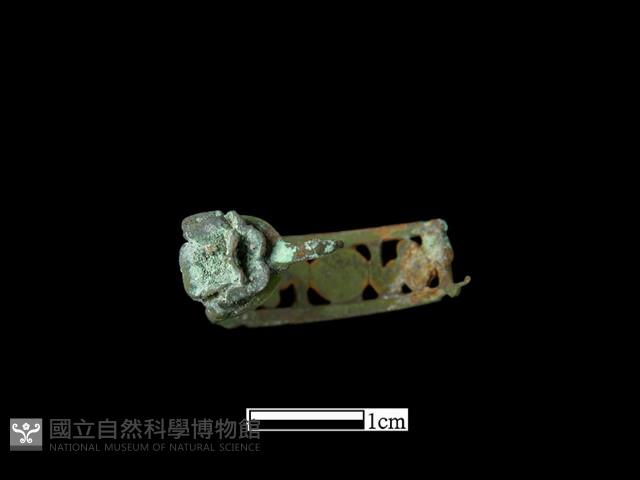 耳環藏品圖，第2張