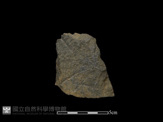 斧鋤形器藏品圖，第2張