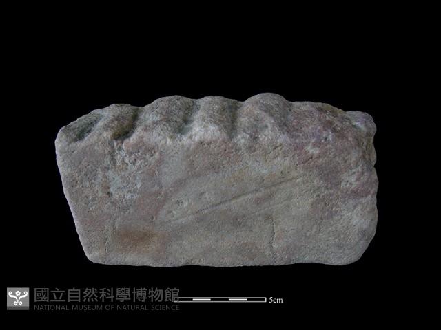 砥石藏品圖，第1張