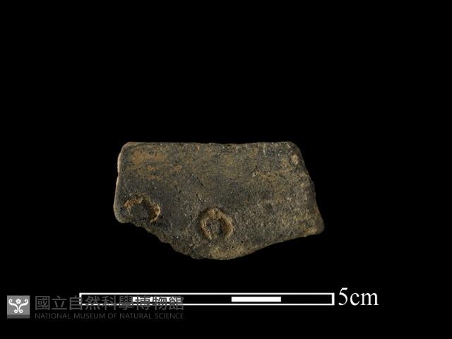 陶片藏品圖，第2張