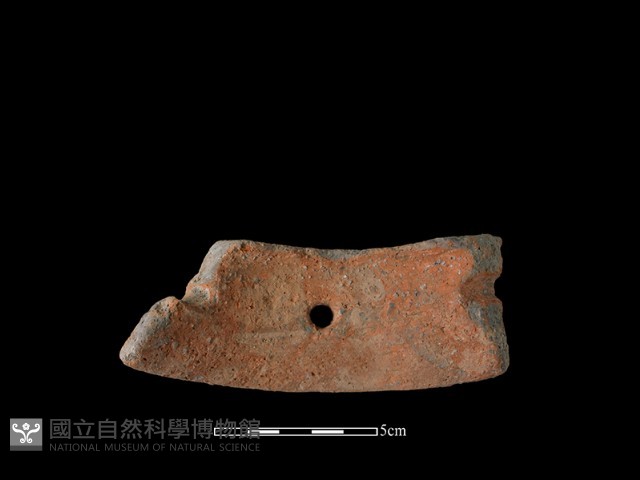 陶罐藏品圖，第1張