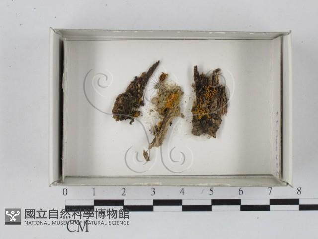 登錄號:F0018290藏品圖，第1張