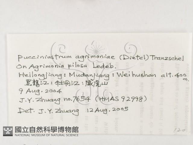 登錄號:F0026290藏品圖，第3張