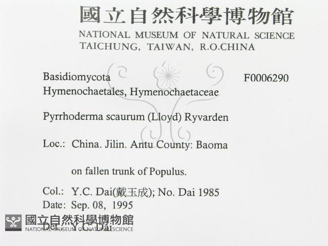 登錄號:F0006290藏品圖，第3張