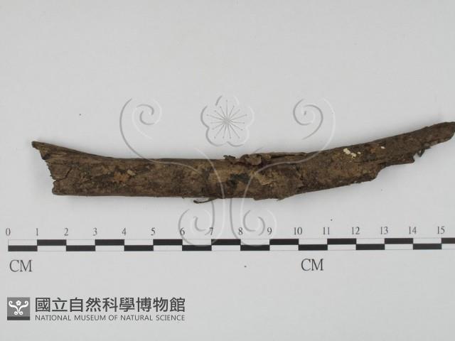 登錄號:F0001290藏品圖，第1張