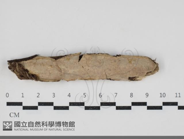登錄號:F0034290藏品圖，第1張