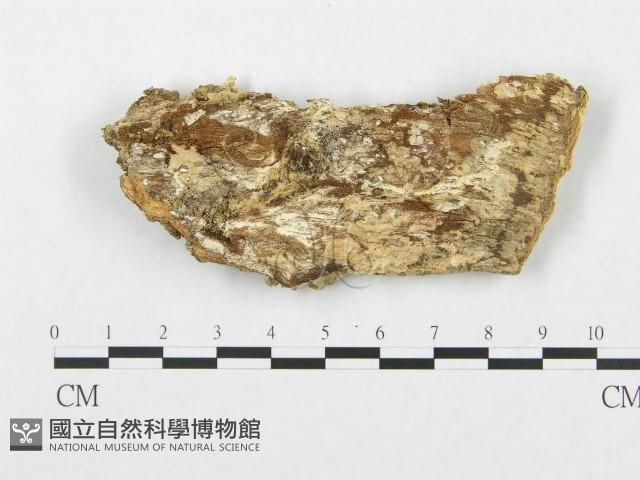 登錄號:F0007290藏品圖，第1張