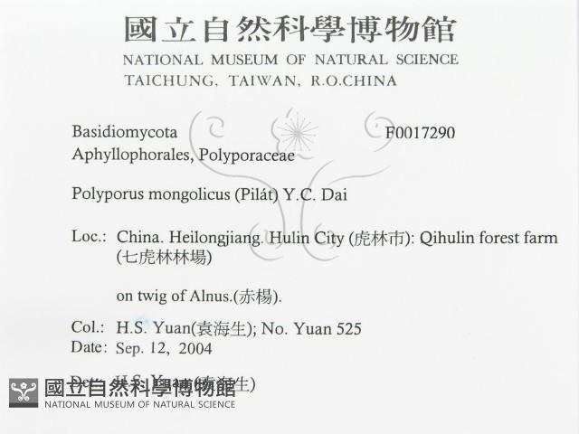 登錄號:F0017290藏品圖，第3張