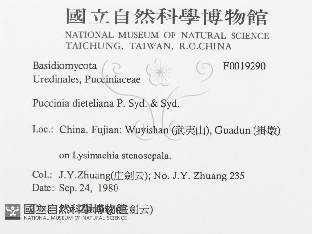 登錄號:F0019290藏品圖，第3張