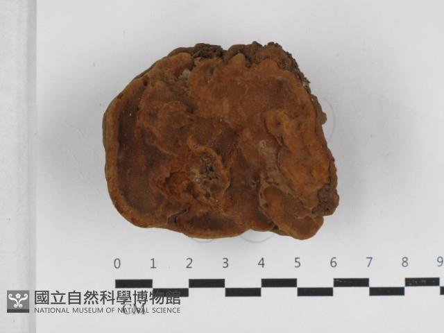 登錄號:F0033290藏品圖，第1張