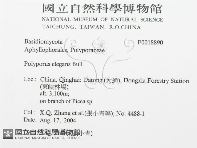 登錄號:F0018890藏品圖，第3張