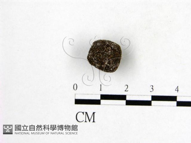 登錄號:F0016890藏品圖，第1張