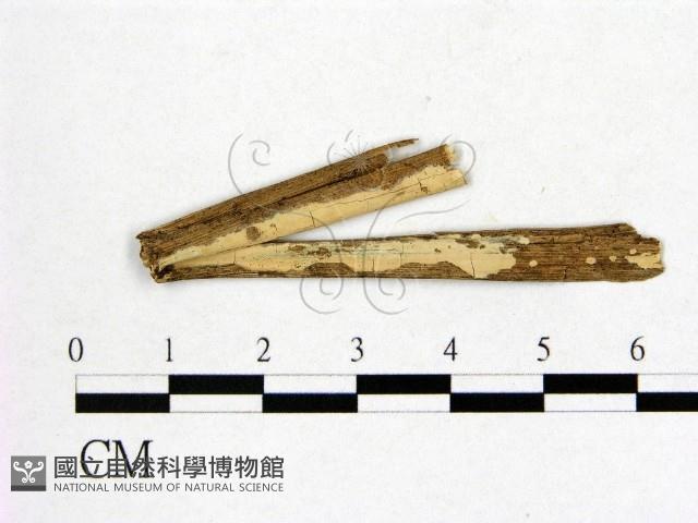 登錄號:F0002890藏品圖，第1張