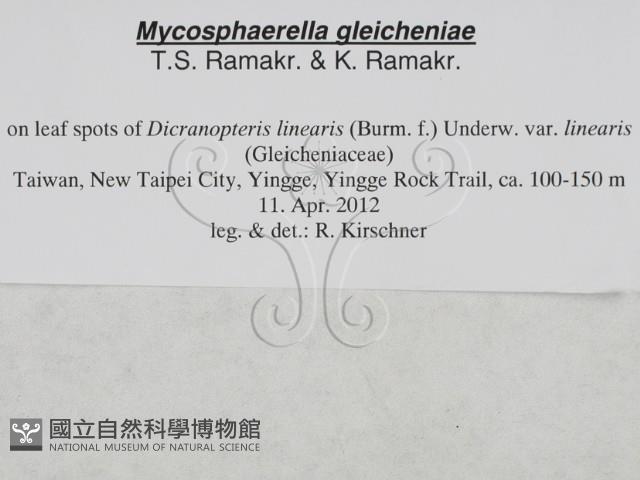 登錄號:F0027890藏品圖，第3張