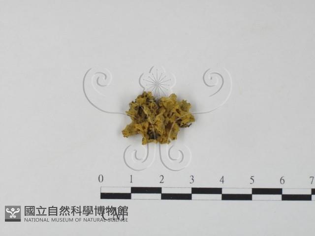 登錄號:F0000990藏品圖，第1張