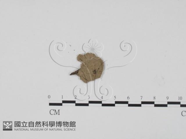 登錄號:F0001990藏品圖，第1張