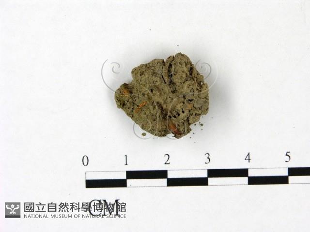 登錄號:F0022990藏品圖，第1張