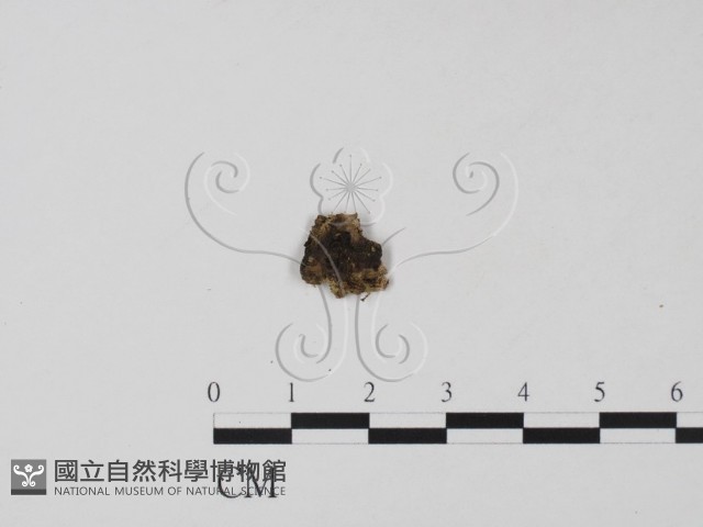 登錄號:F0000690藏品圖，第1張