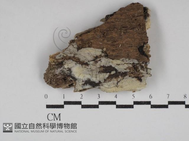 登錄號:F0030690藏品圖，第1張