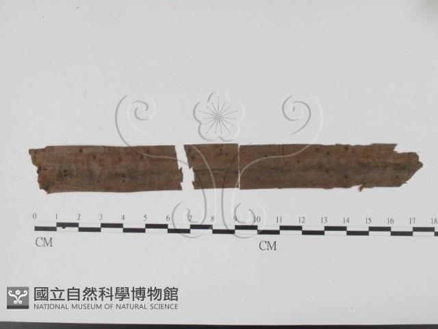 登錄號:F0011690藏品圖，第1張