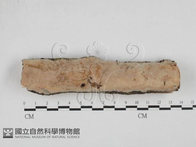 登錄號:F0027690藏品圖，第1張