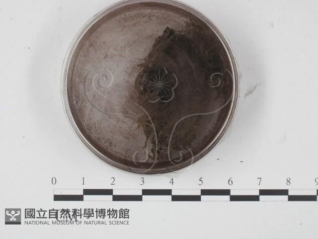 登錄號:F0007690藏品圖，第1張