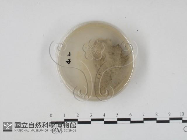 登錄號:F0005690藏品圖，第1張