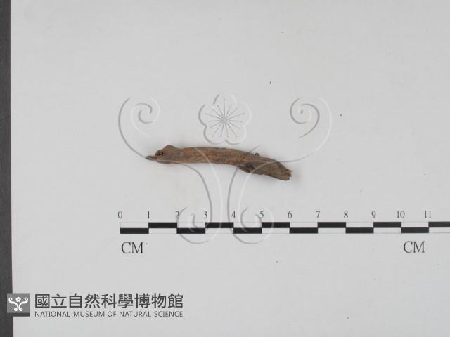 登錄號:F0019690藏品圖，第1張