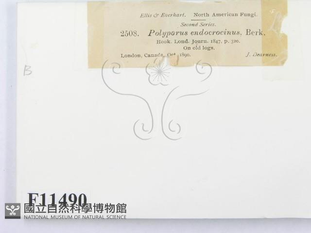 登錄號:F0011490藏品圖，第3張