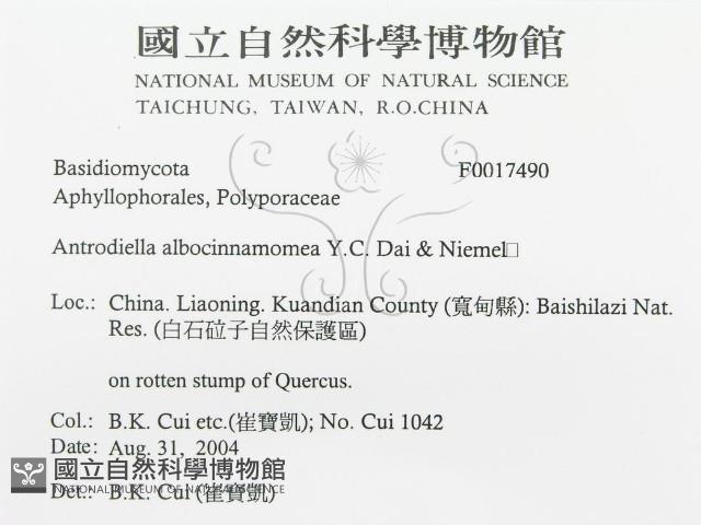 登錄號:F0017490藏品圖，第3張