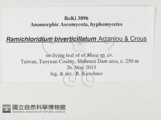 登錄號:F0026790藏品圖，第3張