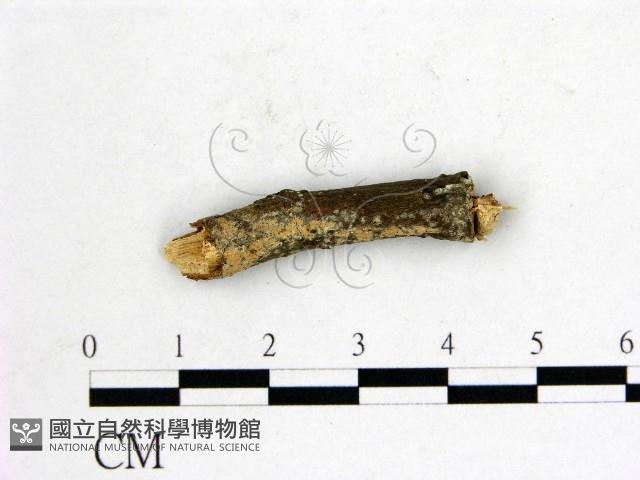 登錄號:F0002790藏品圖，第1張