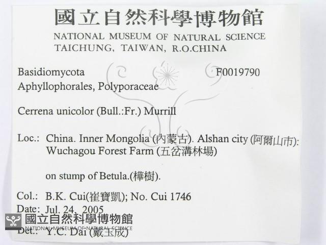 登錄號:F0019790藏品圖，第3張