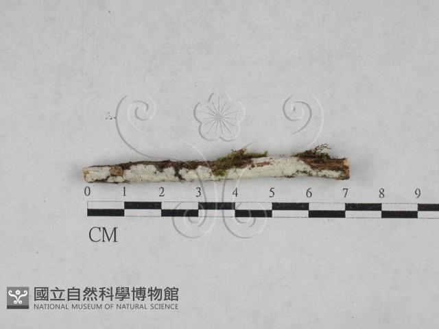 登錄號:F0028590藏品圖，第1張